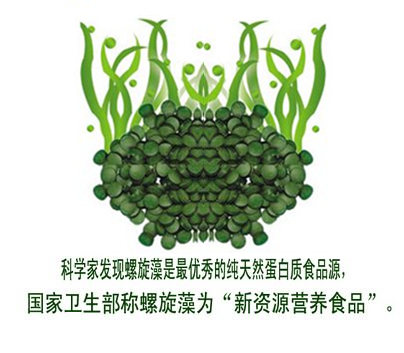 螺旋藻咨询